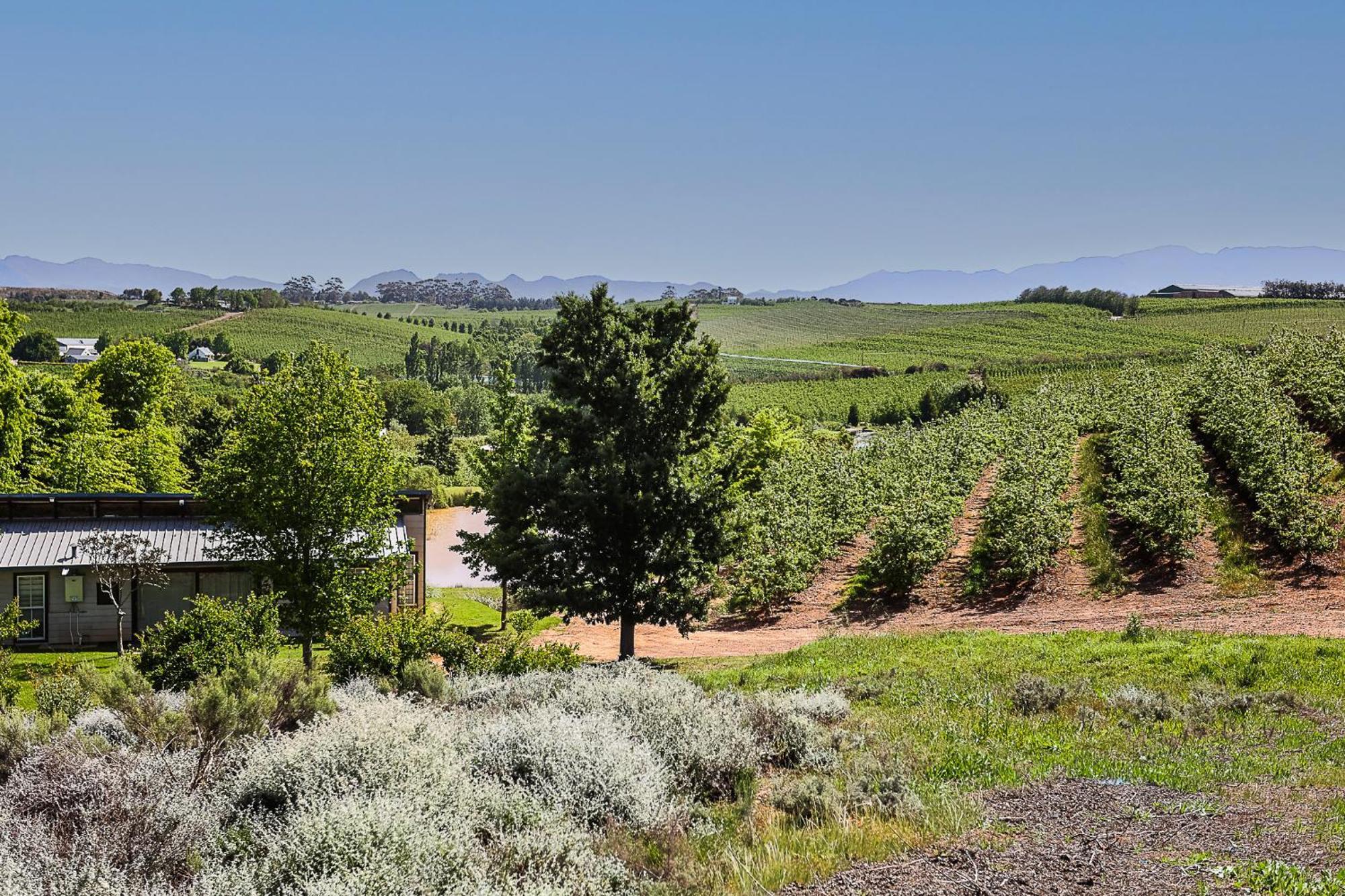 Villa Galileo Farm Elgin  Exterior foto